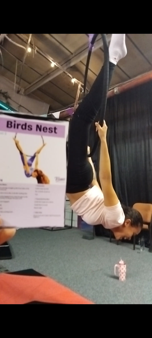 Trixeez - Aerial Hoop V.1 Flashcards (Physical Set)