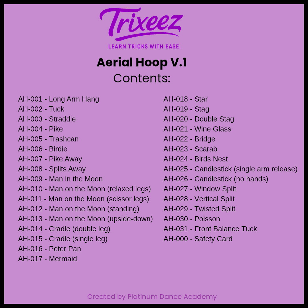 Trixeez Aerial Hoop v.1 Digital Download- Flashcards